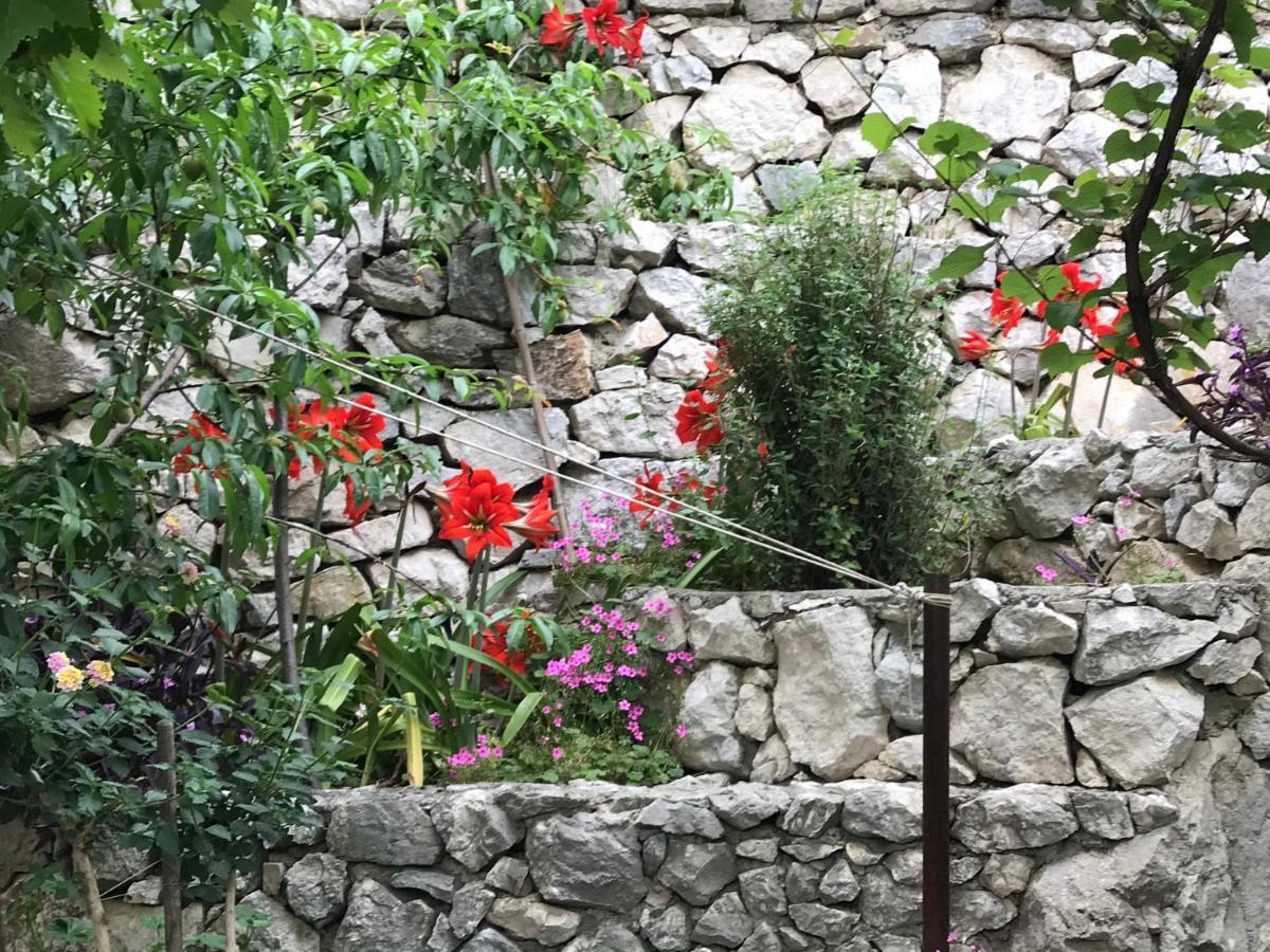 Apartment Victoria Omiš Dış mekan fotoğraf