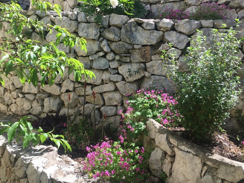 Apartment Victoria Omiš Dış mekan fotoğraf